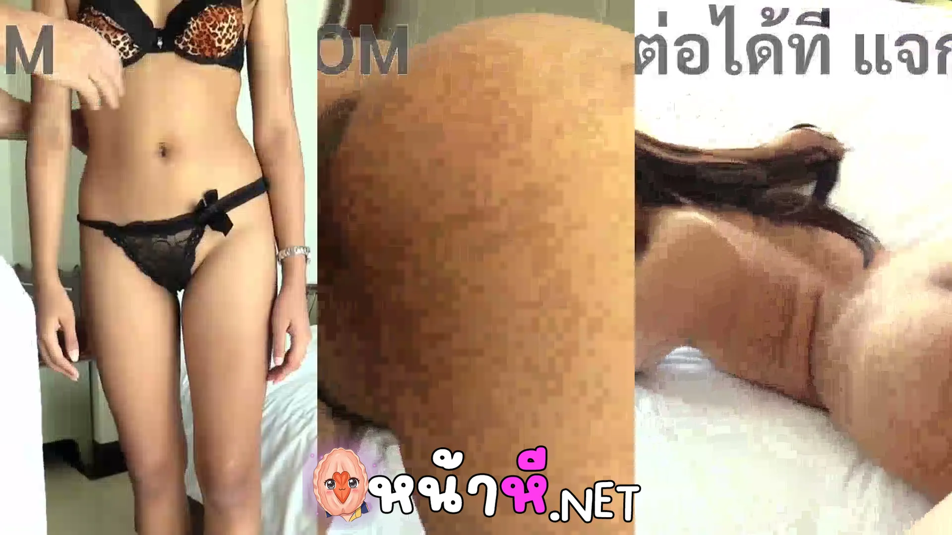 คลิปxxx THAIGIRLSWILD KAND หีใหญ่ปากปลากระโห้ ดูดควยฝรั่งจนบาน ปล่อยในมดลูกเล็ก